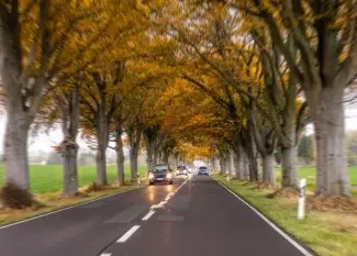 estrada aberta no Canadá com árvores de folhagem alaranjadas
