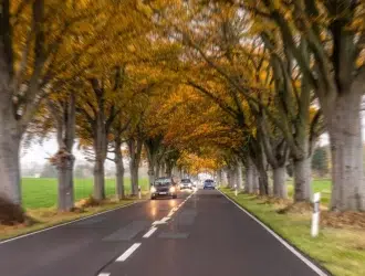 estrada aberta no Canadá com árvores de folhagem alaranjadas