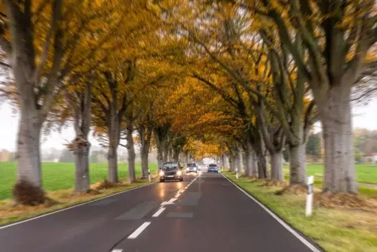 estrada aberta no Canadá com árvores de folhagem alaranjadas