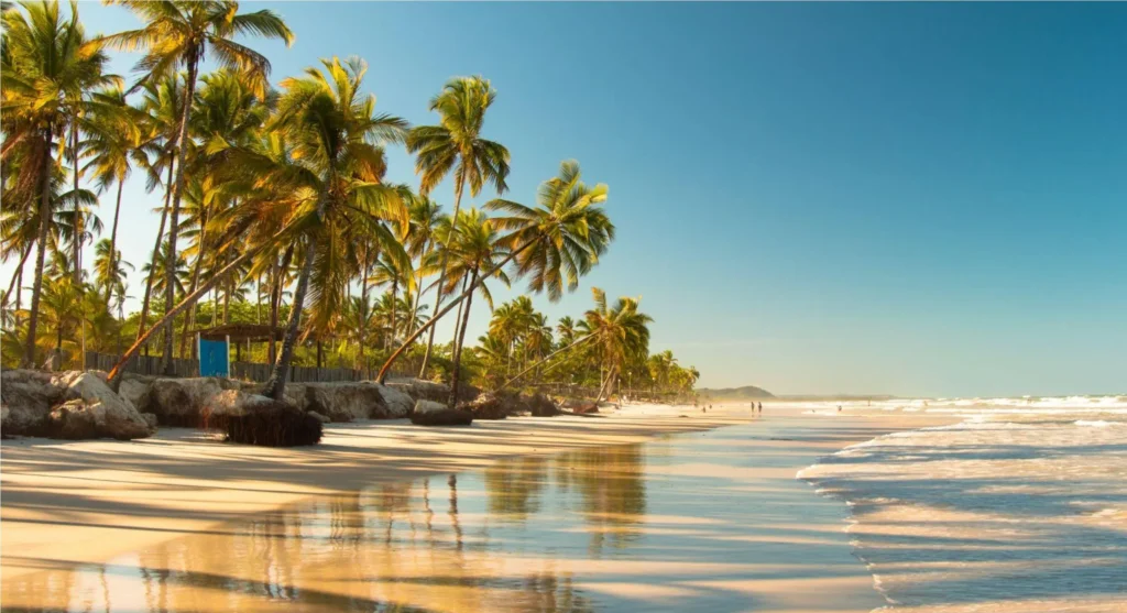 Praia tropical com fileira de coqueiros, areia clara e mar calmo ao amanhecer, com reflexos do céu na água e rochas na beira da costa ao fundo.