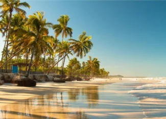 Praia tropical com fileira de coqueiros, areia clara e mar calmo ao amanhecer, com reflexos do céu na água e rochas na beira da costa ao fundo.